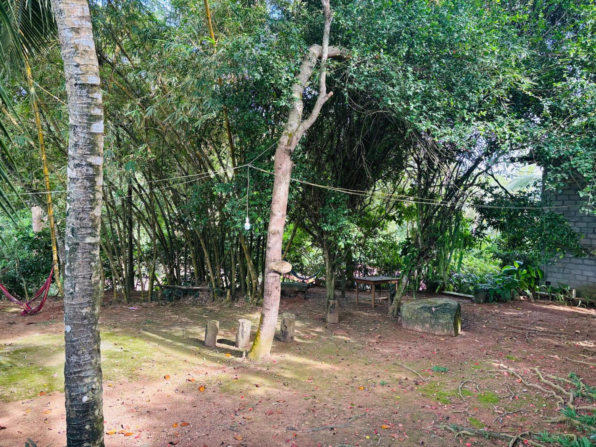 Eco Garden Hiriketiya Hotel Dikwella Ngoại thất bức ảnh