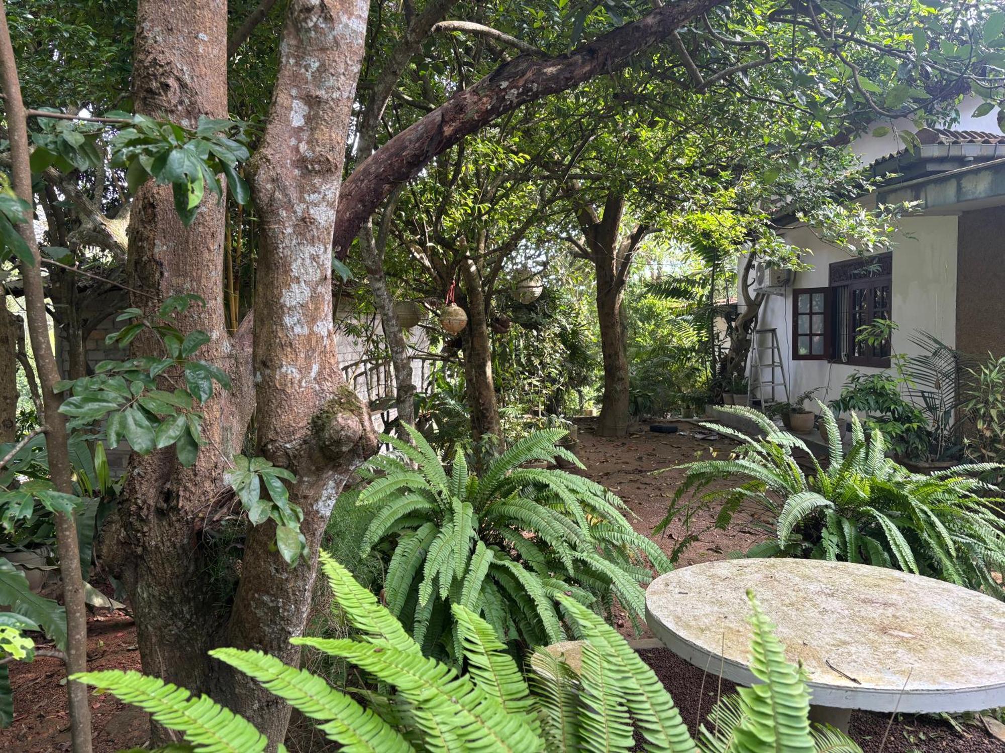 Eco Garden Hiriketiya Hotel Dikwella Ngoại thất bức ảnh