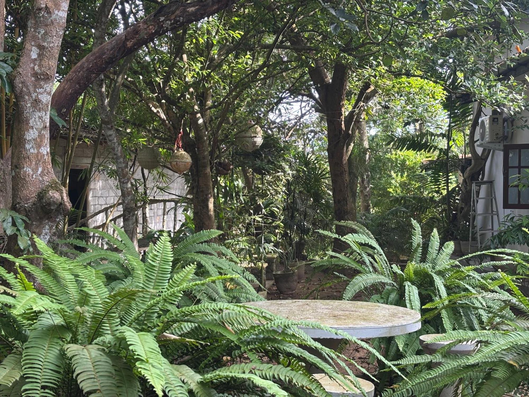 Eco Garden Hiriketiya Hotel Dikwella Ngoại thất bức ảnh