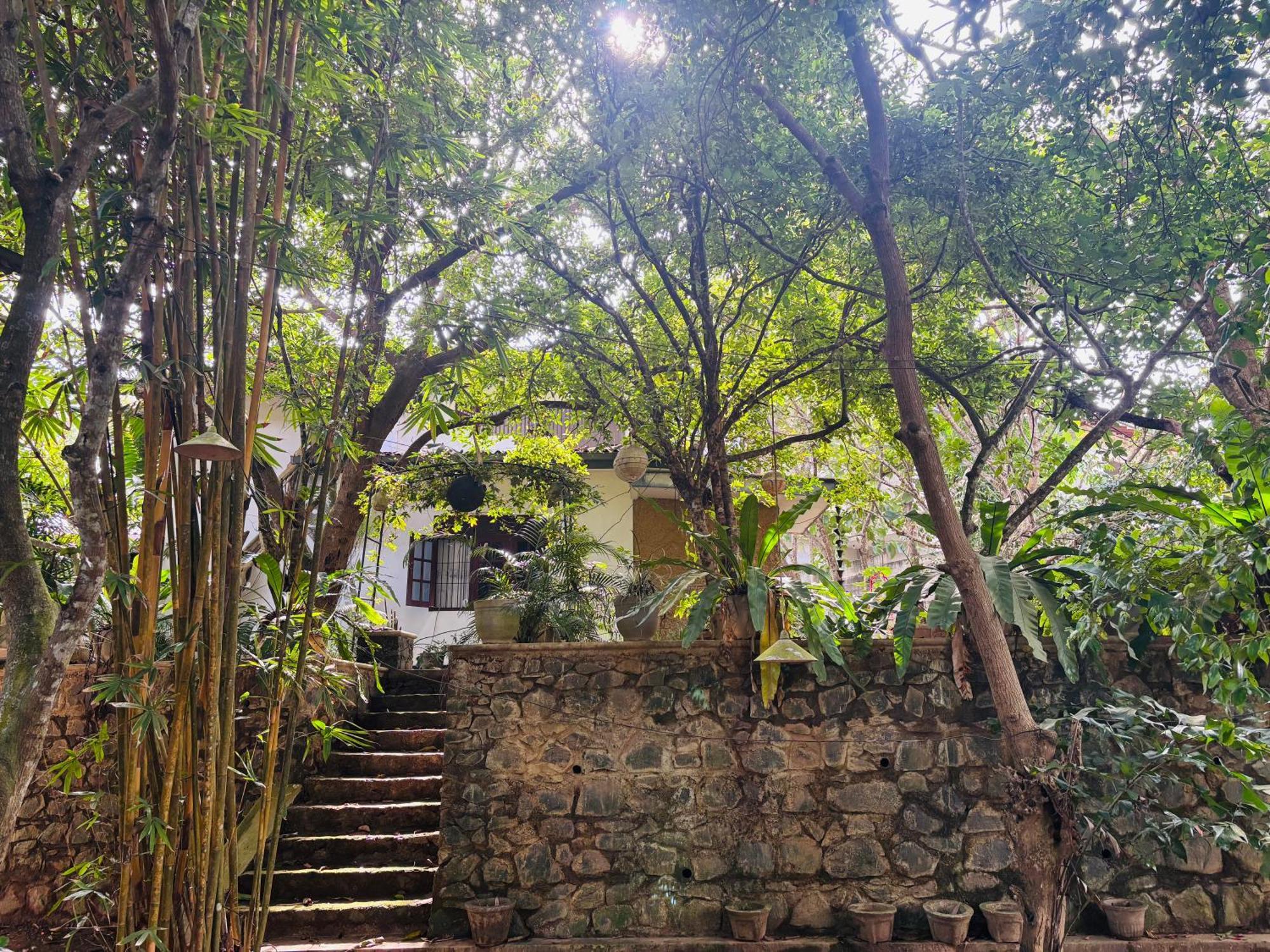 Eco Garden Hiriketiya Hotel Dikwella Ngoại thất bức ảnh