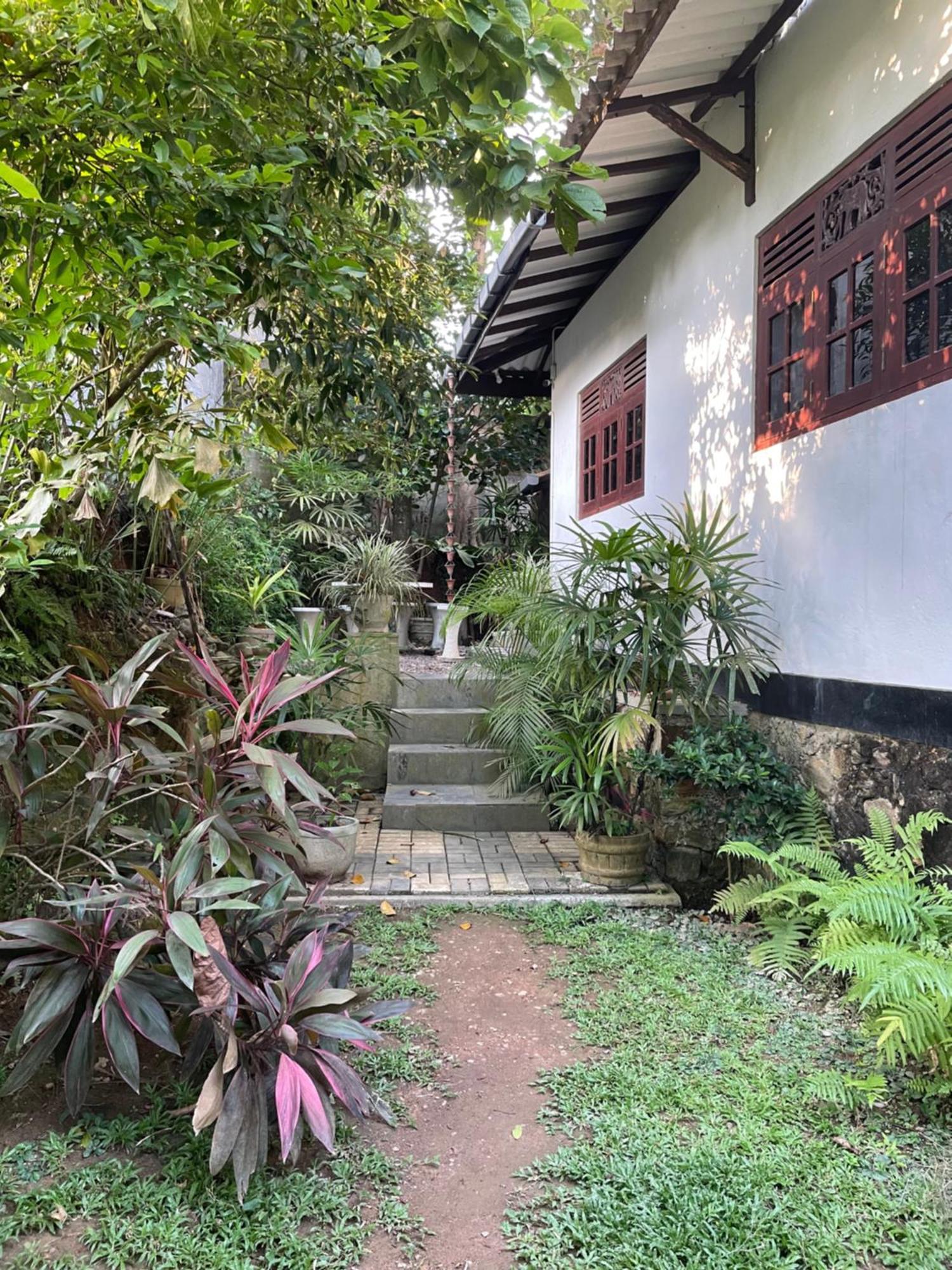 Eco Garden Hiriketiya Hotel Dikwella Ngoại thất bức ảnh