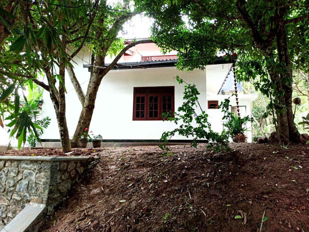 Eco Garden Hiriketiya Hotel Dikwella Ngoại thất bức ảnh