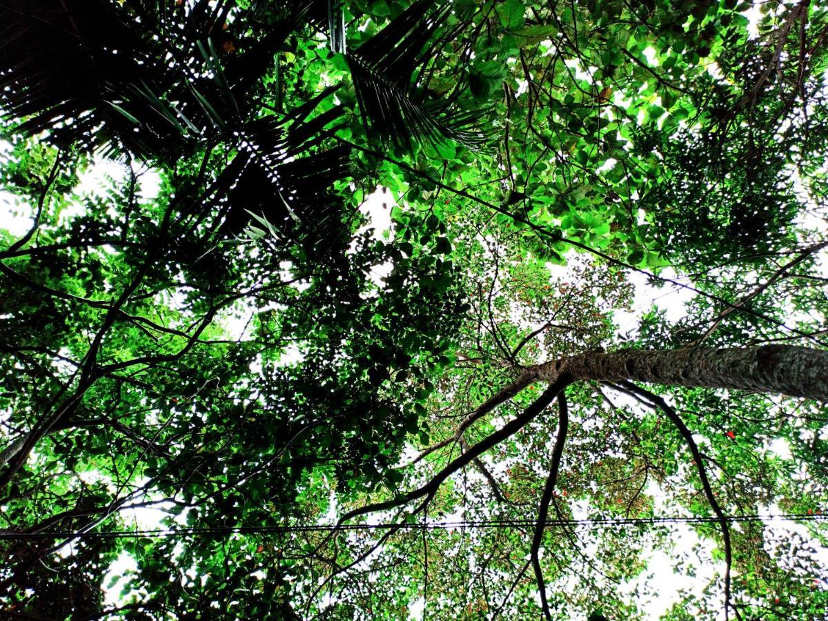 Eco Garden Hiriketiya Hotel Dikwella Ngoại thất bức ảnh