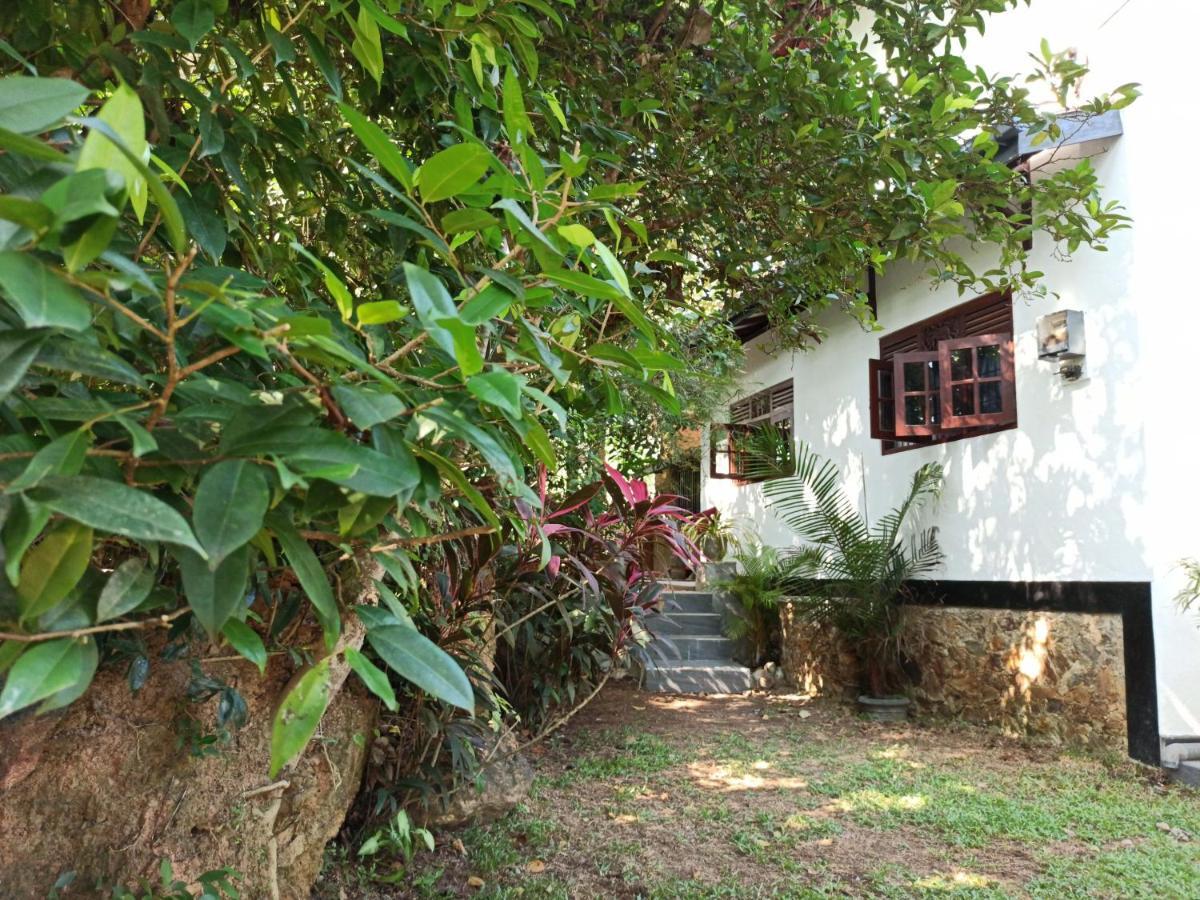 Eco Garden Hiriketiya Hotel Dikwella Ngoại thất bức ảnh