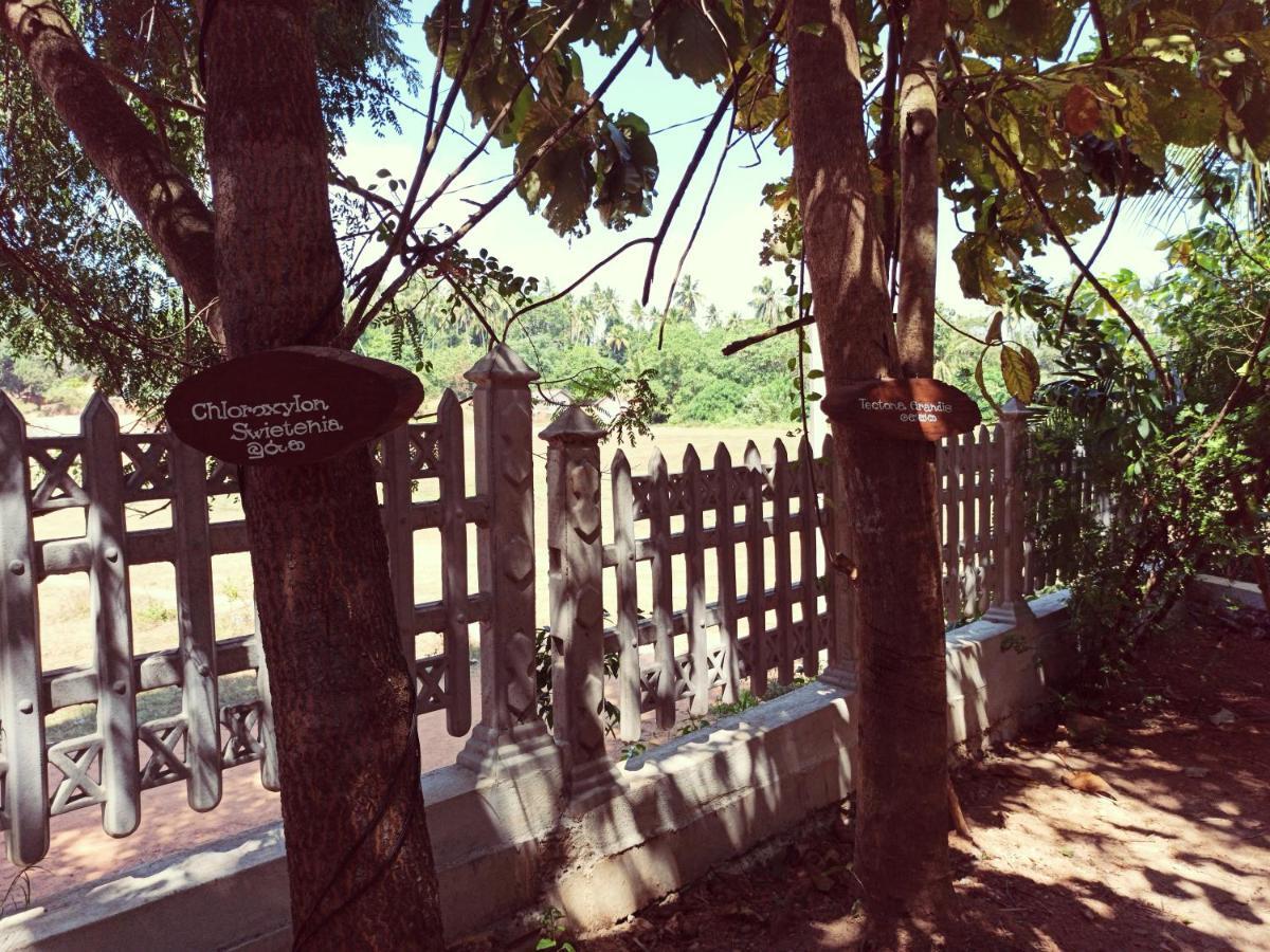 Eco Garden Hiriketiya Hotel Dikwella Ngoại thất bức ảnh