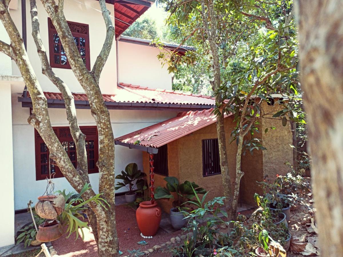 Eco Garden Hiriketiya Hotel Dikwella Ngoại thất bức ảnh